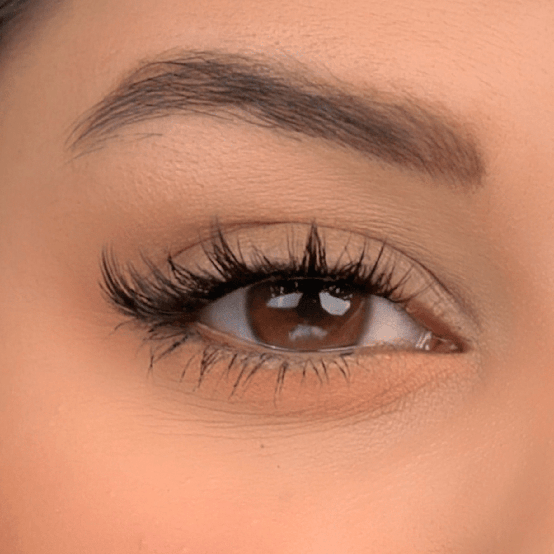 DREAMY - Gazelle Lashes