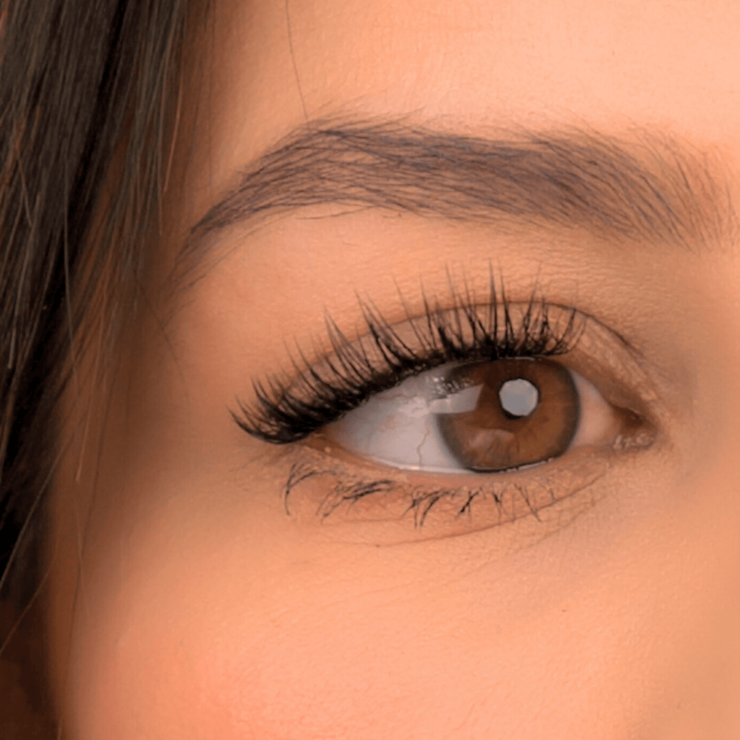 SENSUAL - Gazelle Lashes