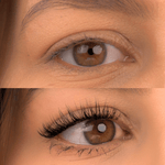 SENSUAL - Gazelle Lashes