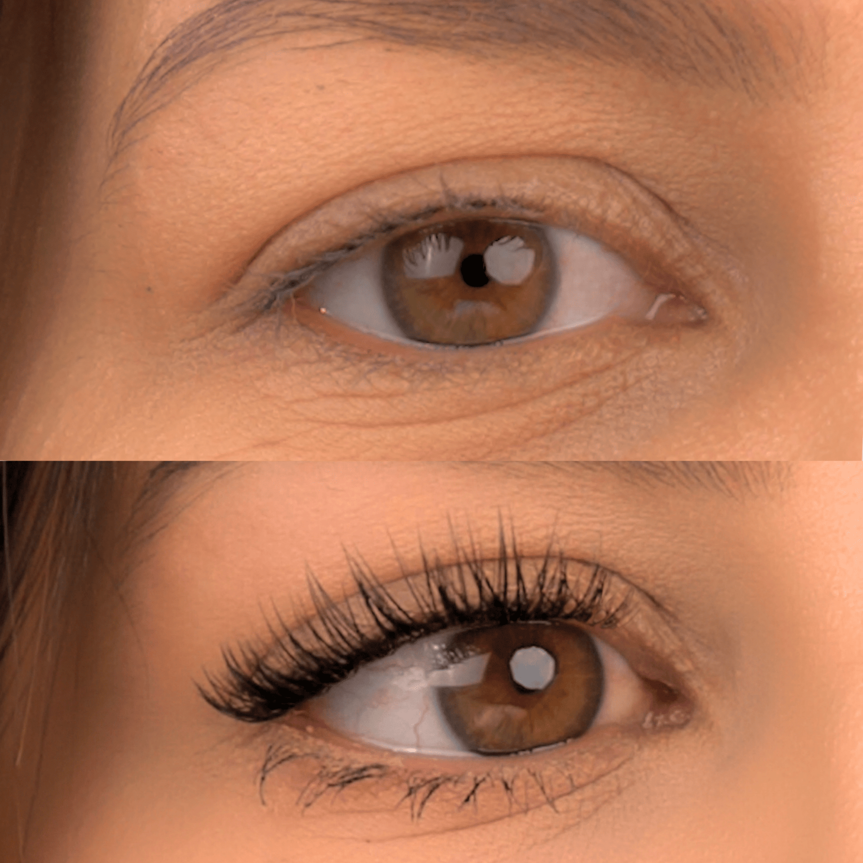 SENSUAL - Gazelle Lashes